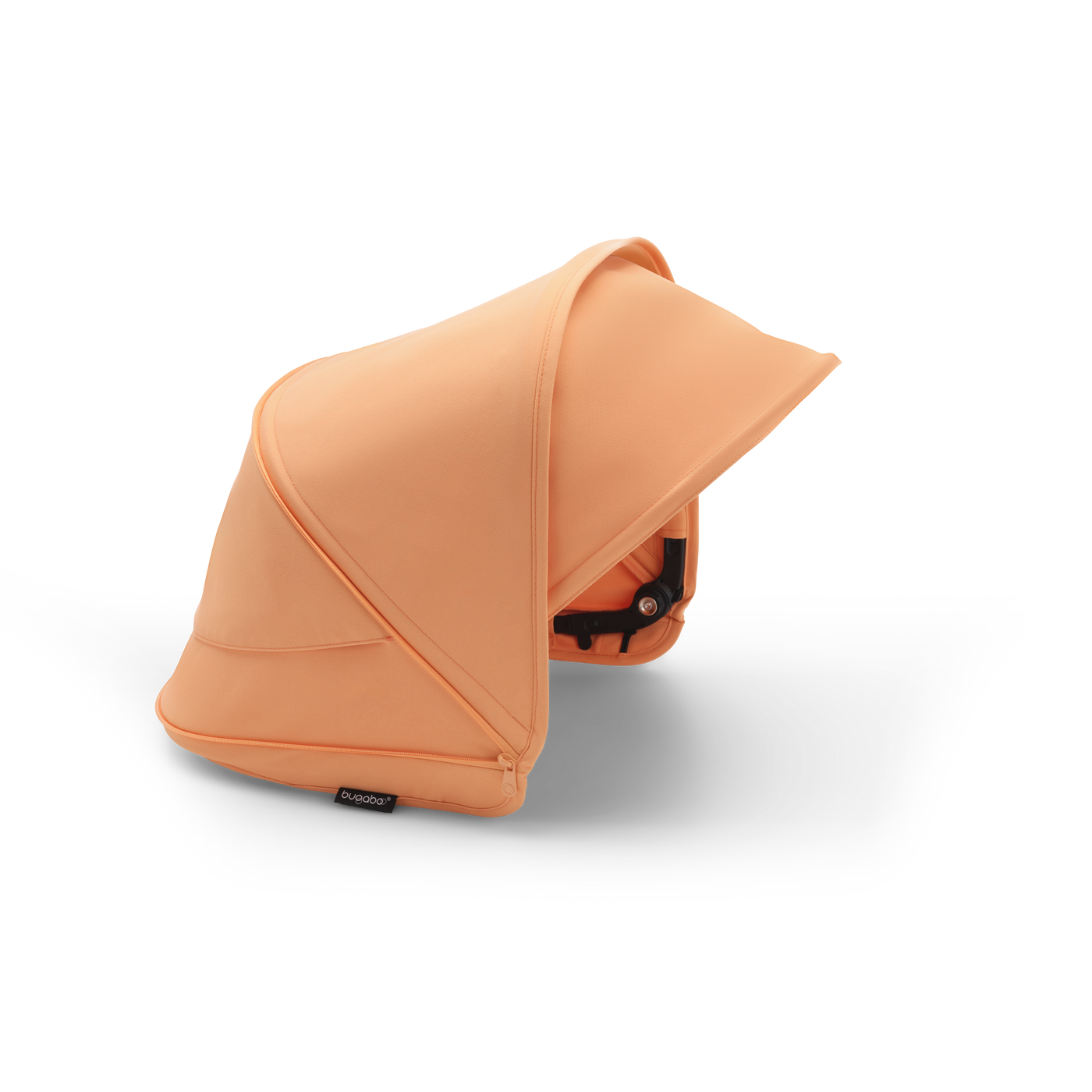 Libelle Isla Coral