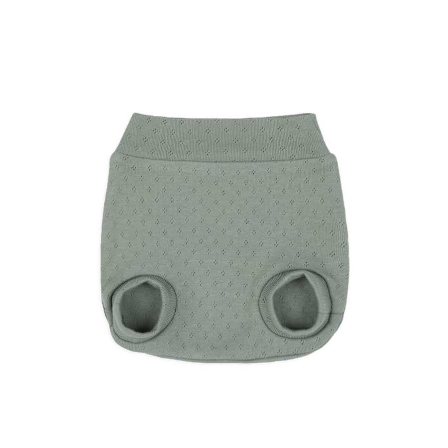Culote Holey Musgo - Minicoton
