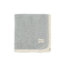 Manta Mesh Nube